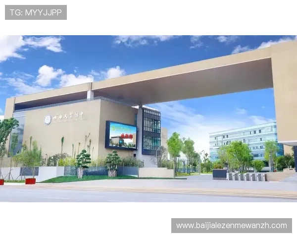 解决PA网址视讯常见登录问题的实用技巧帮助用户快速恢复正常观看体验